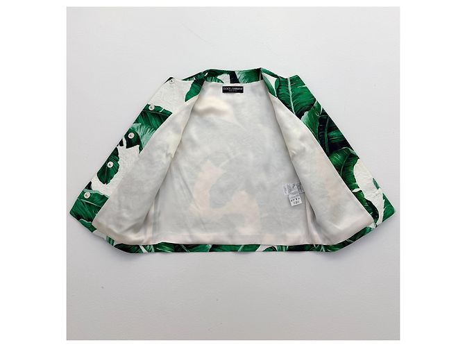Dolce & Gabbana Botanical Garden Leaf Print Jacket with Bee Embellishments - view 5