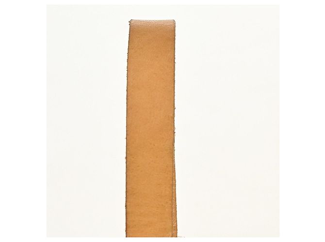 Louis Vuitton Florentine Waist Monogram Canvas Medium - vista 6