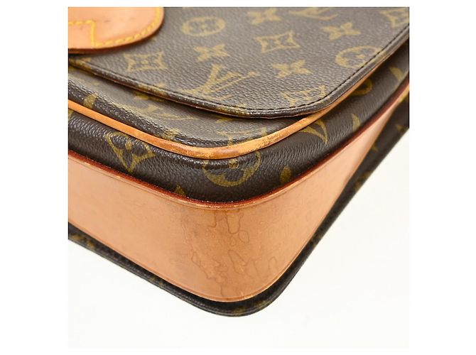 Louis Vuitton Cartouchiere Monogram Canvas PM - vista 7