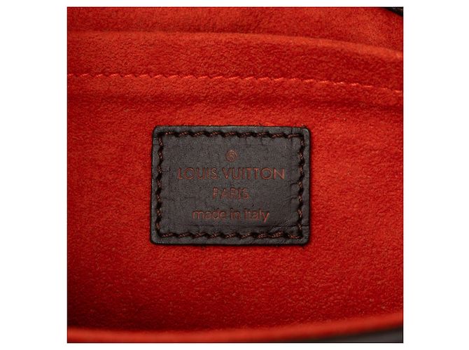 Borsa a mano Louis Vuitton Damier Sauvage Lionne Marrone - vista 5