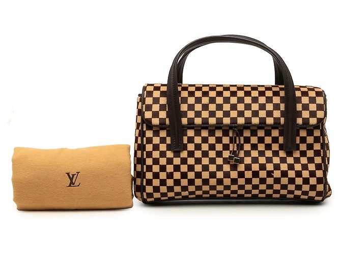 Borsa a mano Louis Vuitton Damier Sauvage Lionne Marrone - vista 9