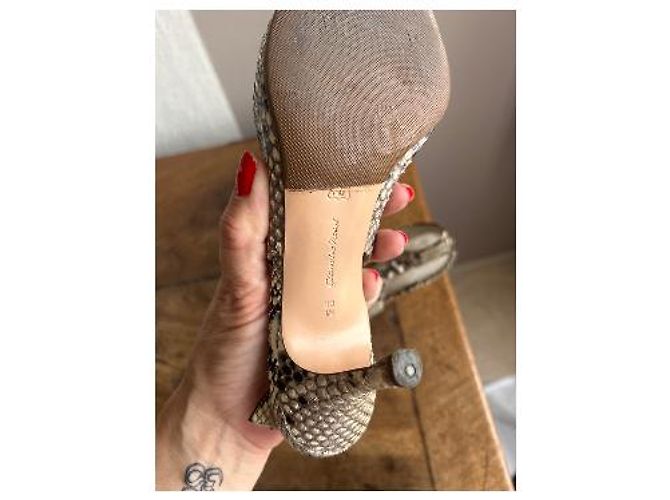 Gianvito Rossi Escarpins Python Print Cuir Beige Noir - vue 4