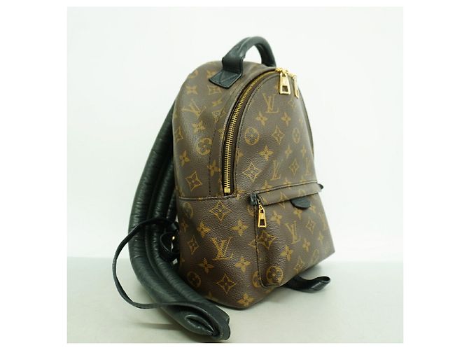 Mochila Louis Vuitton Monogram Palm Springs PM - vista 2