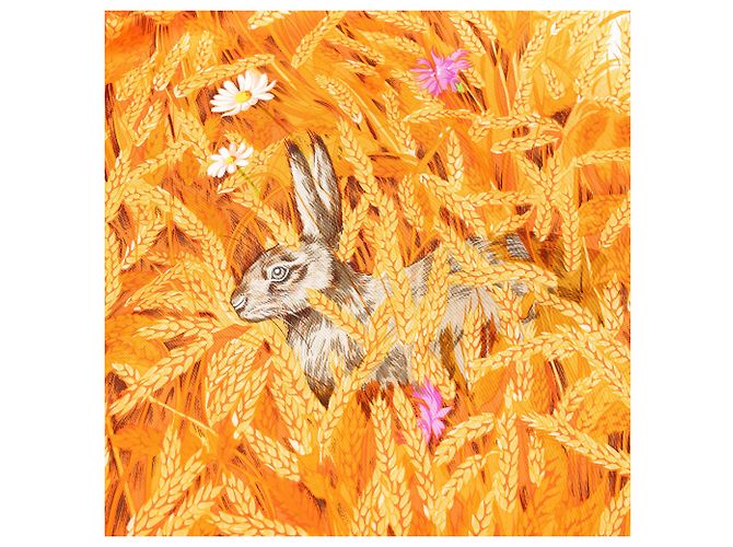 Pañuelo de seda Hermès Orange Les Bles 90 - vista 6