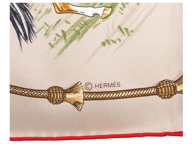 Pañuelo de seda Hermès Beige Pampa 70 - vista 5