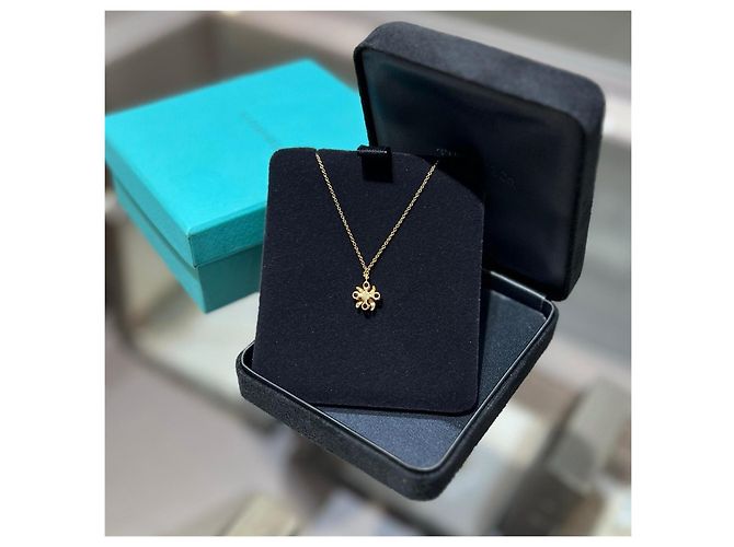 Collana Tiffany & Co. in oro giallo 18K con pendente in rubino - vista 3
