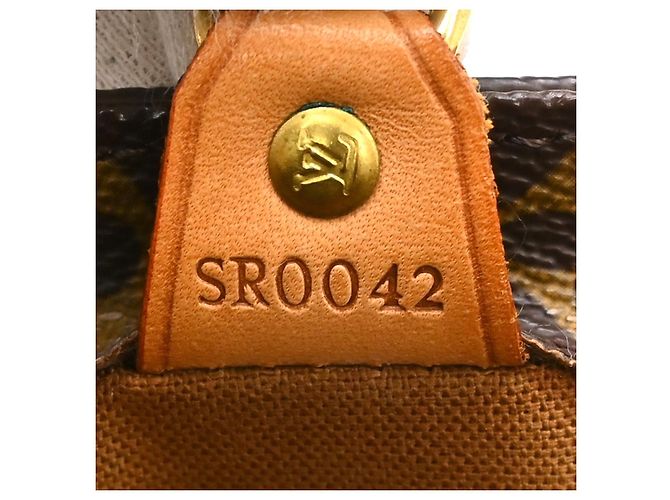 Louis Vuitton Vavin Monogram Canvas PM - vista 5
