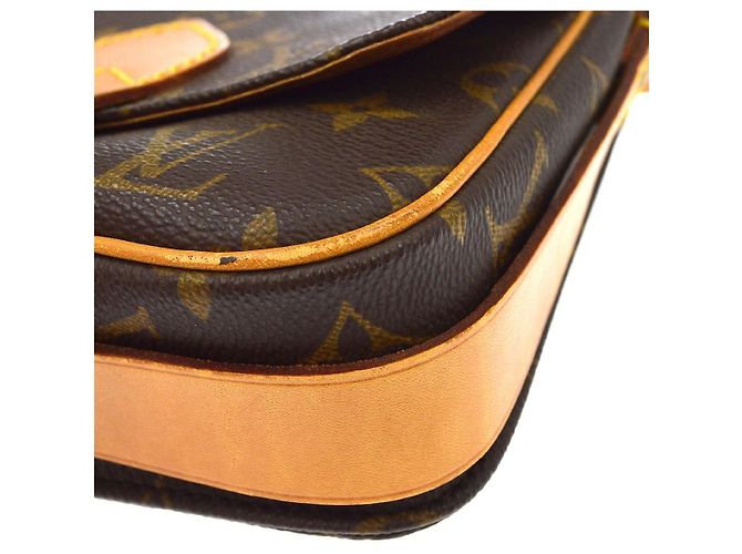 Louis Vuitton Cartouchiere Monogram Canvas PM - vista 7