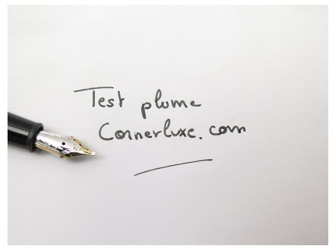 PENNA STILO MONTBLANC MEISTERSTUCK 145 HOMMAGE A CHOPIN NUOVA - vista 19
