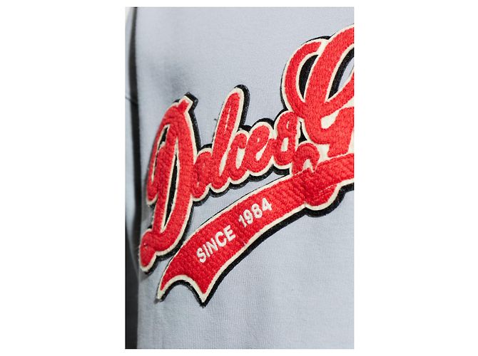 Felpa Dolce & Gabbana con logo grigia in cotone - vista 4