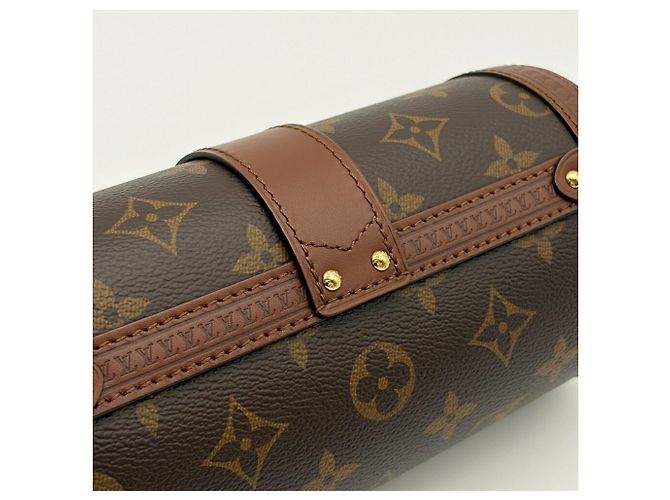 Borsa a tracolla Louis Vuitton Papillon Trunk Monogram in pelle - vista 10