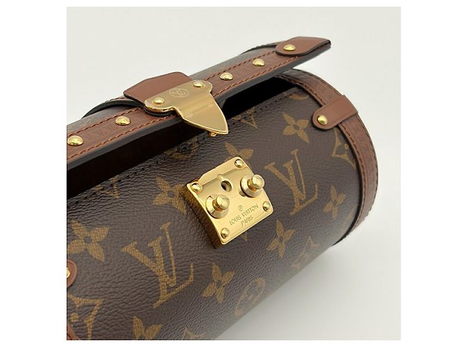 Borsa a tracolla Louis Vuitton Papillon Trunk Monogram in pelle - vista 12