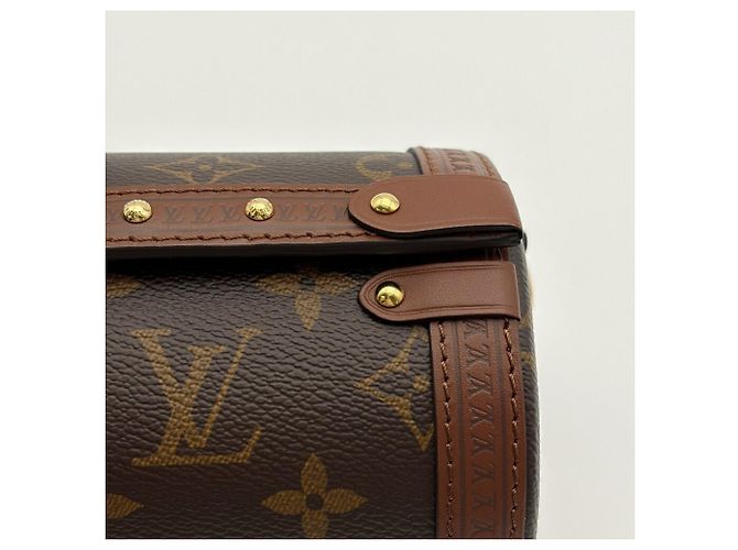 Borsa a tracolla Louis Vuitton Papillon Trunk Monogram in pelle - vista 9