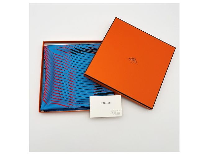 Hermès Hermes Carre 90 H Cinetique Schal - Ansicht 10