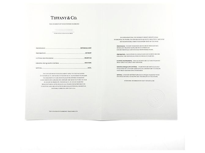 Autre Marque Anel Tiffany & Co. Harmony Meio Círculo em Platina - vista 8