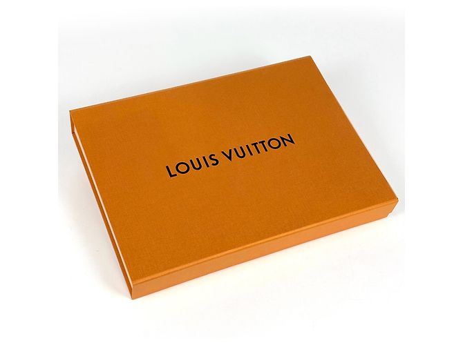 Louis Vuitton Echarpe Logomania Scarf - vista 6
