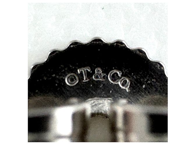 Autre Marque Orecchini a lobo in platino e diamanti Tiffany & Co. - vista 6