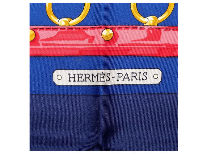 Foulard di seta Hermès Blue Aux Champs 90 - vista 5