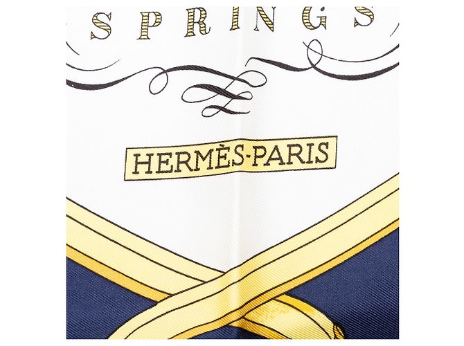 Hermès Blue Springs Seidentuch 90 - Ansicht 3