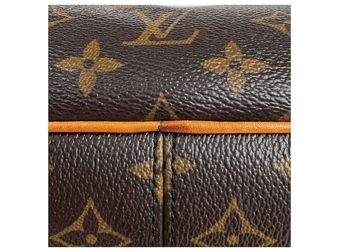 Borsa Tote Louis Vuitton Delightful MM - vista 3
