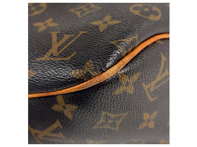 Borsa Tote Louis Vuitton Delightful MM - vista 4