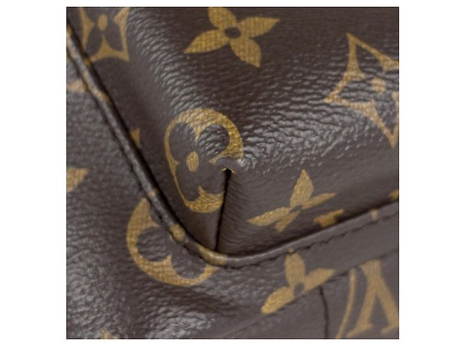 Zaino Louis Vuitton Palm Springs PM - vista 5