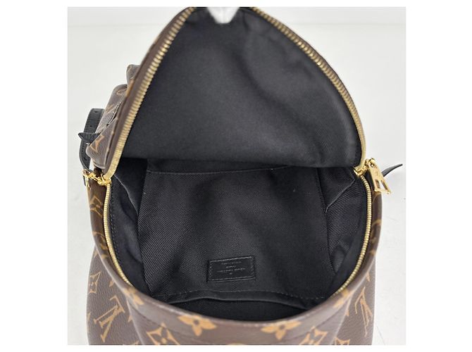 Zaino Louis Vuitton Palm Springs PM - vista 8