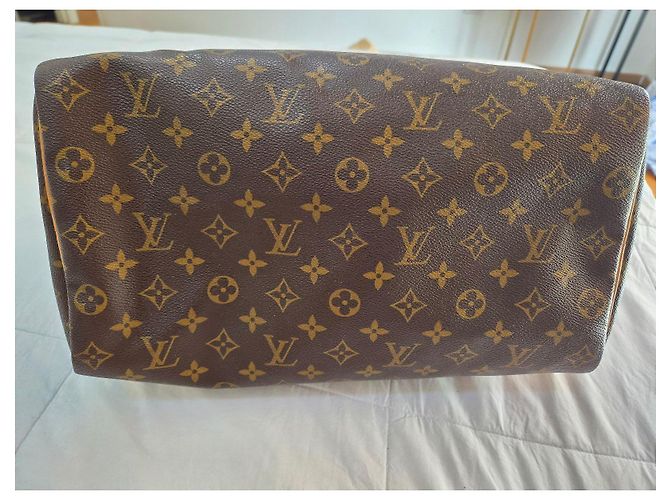 Louis Vuitton Speedy 30 Monogram - vista 14