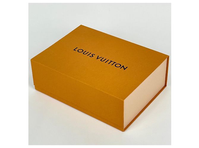 Bolso de hombro/Clutch Louis Vuitton Clapton - vista 11
