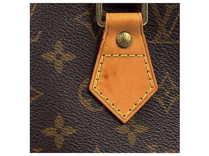 Borsa a mano Louis Vuitton Alma - vista 6