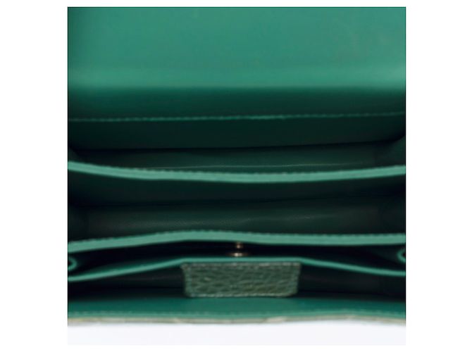 Borsa DIOR in Pelli esotiche Verde - 104029 - vista 9