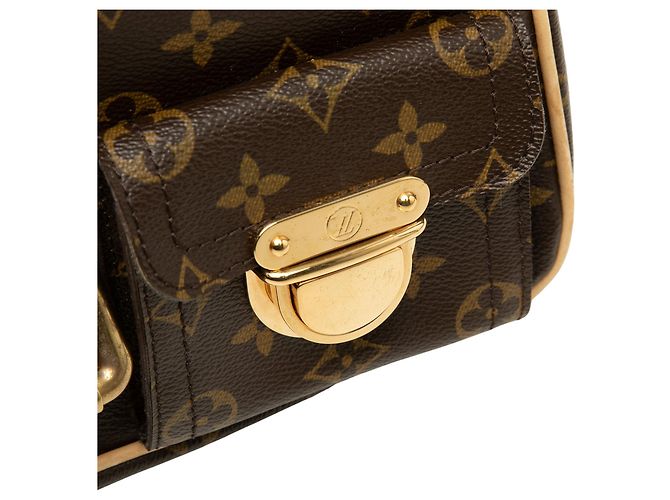 Louis Vuitton Brown Monogram Hudson PM - vista 6