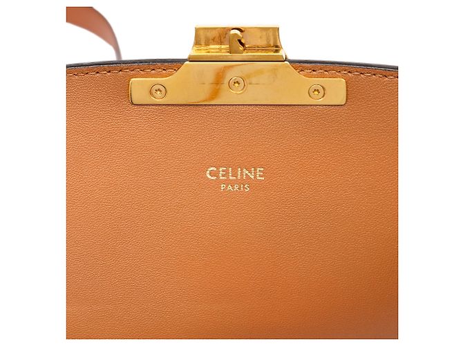 Céline Celine Beige Classique Canvas and Calfskin Triomphe Crossbody - Ansicht 5