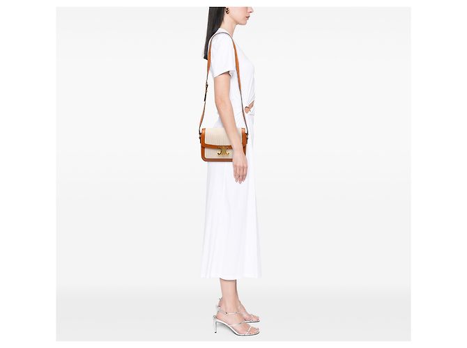 Céline Celine Beige Classique Canvas and Calfskin Triomphe Crossbody - Ansicht 6
