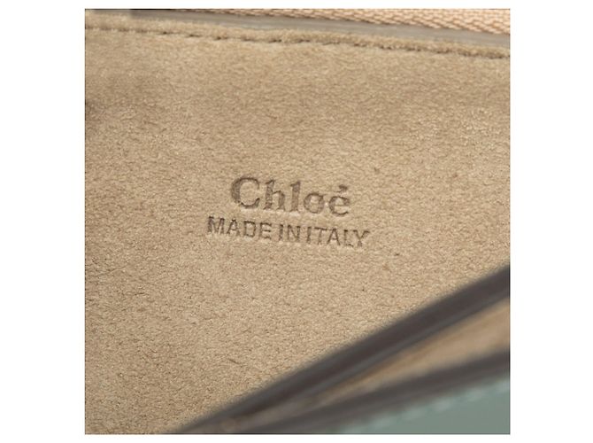 Borsa Faye Chloé Piccola in Vitello e Camoscio Blu - vista 5