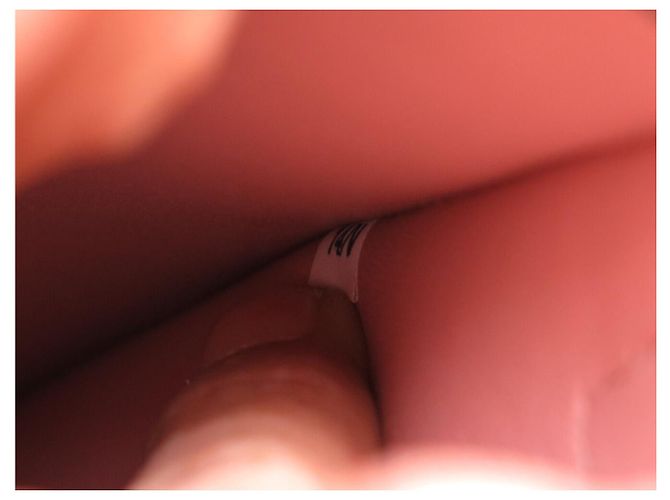 NOVA BOLSA DE MÃO PRADA DOUBLE B2756T COURO SAFFIANO ROSE COM ALÇA - vista 18