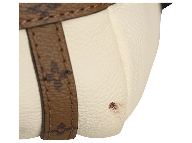 Borsa a tracolla Louis Vuitton Express PM in pelle di vitello bianca - vista 17