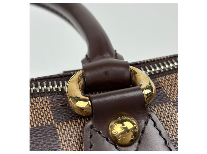 Bolso de mano Louis Vuitton Saleya PM Tote Bag - vista 6