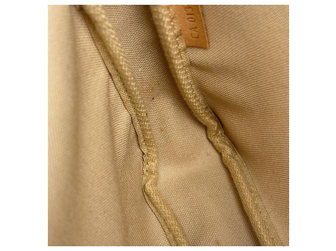 Louis Vuitton Pochette Accessoires Pouch - vista 9