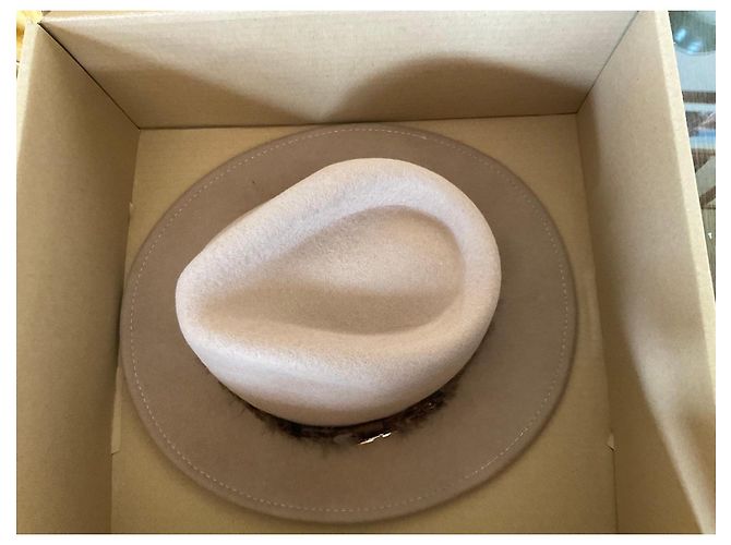 Autre Marque Hicks & Brown Cappello Fedora con decorazione in piume - vista 2