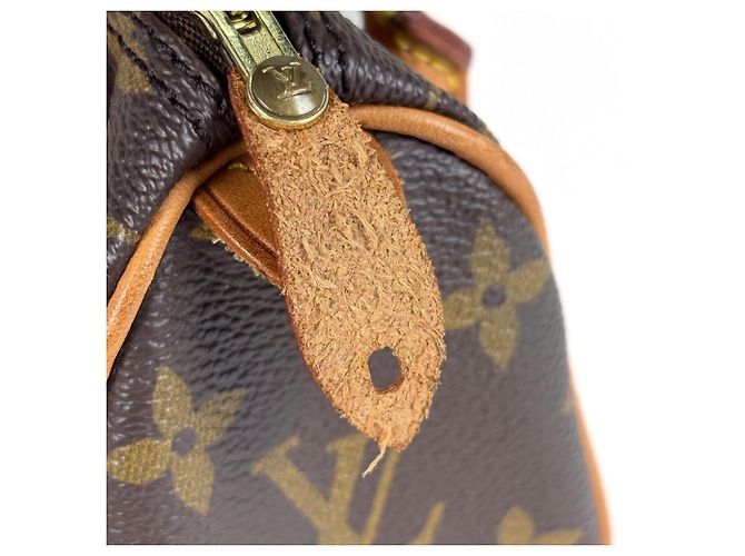 Borsa a mano Louis Vuitton Mini Speedy - vista 5