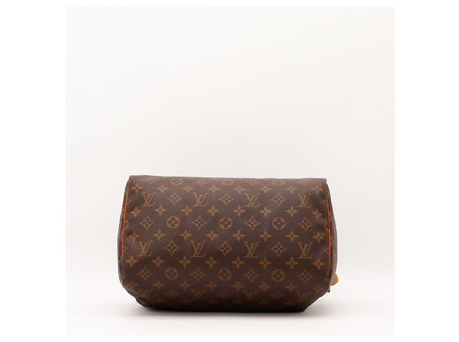 Borsa Louis Vuitton Speedy 30 Monogram Canvas - vista 6
