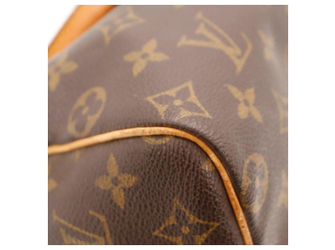 Borsa Louis Vuitton Speedy 30 Monogram Canvas - vista 12