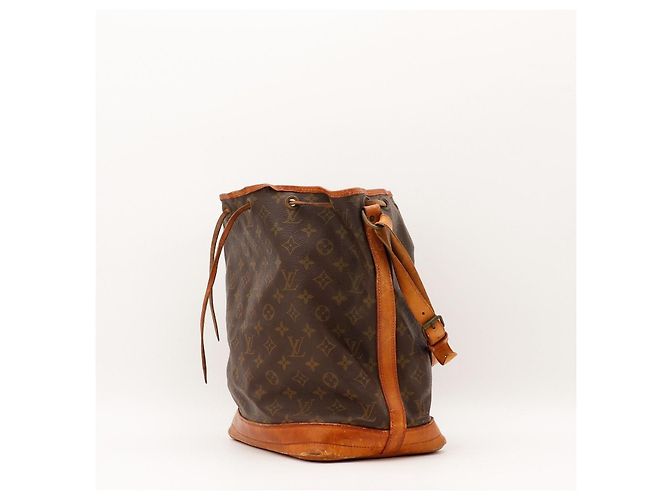 Borsa a Secchiello Louis Vuitton Monogram Noe in Pelle Marrone - vista 2