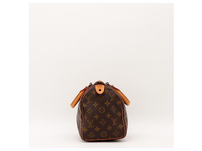 Borsa Louis Vuitton Speedy 30 Monogram Canvas - vista 3