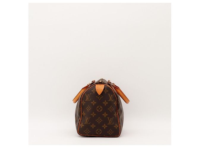 Borsa Louis Vuitton Speedy 30 Monogram Canvas - vista 5
