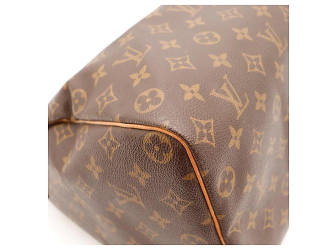 Borsa Louis Vuitton Speedy 30 Monogram Canvas - vista 11