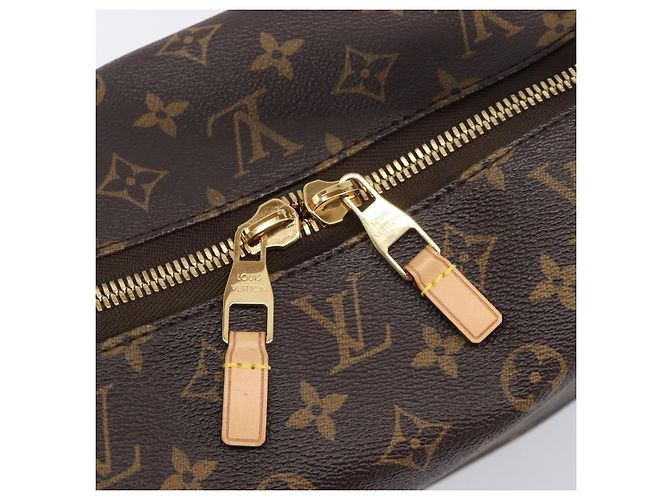 LOUIS VUITTON Monogram Sully PM Hand Bag M40586 LV - vista 19