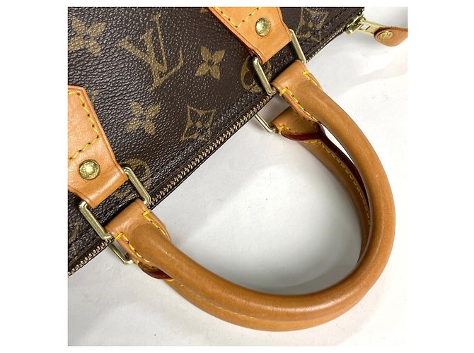Borsa a mano Louis Vuitton Speedy 25 - vista 6