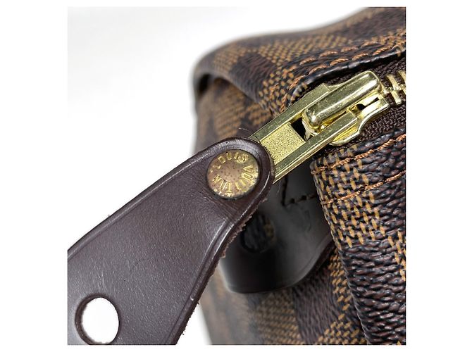 Borsa a mano Louis Vuitton Speedy 30 - vista 5